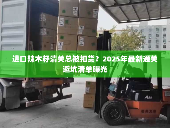 进口辣木籽清关总被扣货?2025年最新通关避坑清单曝光 进口辣木籽清关总被扣货?2025年最新通关避坑清单曝光