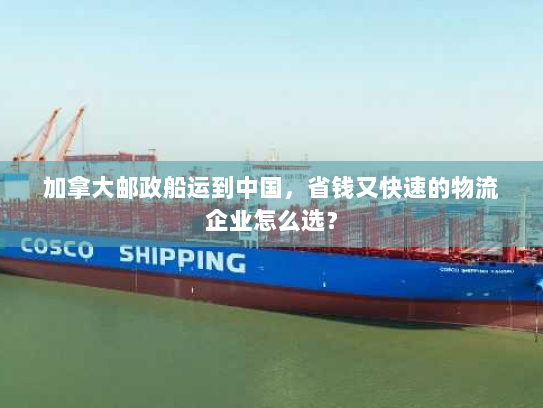 加拿大邮政船运到中国,省钱又快速的物流企业怎么选? 加拿大邮政船运到中国,省钱又快速的物流企业怎么选?