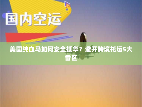 美国纯血马如何安全抵华？避开跨境托运5大雷区