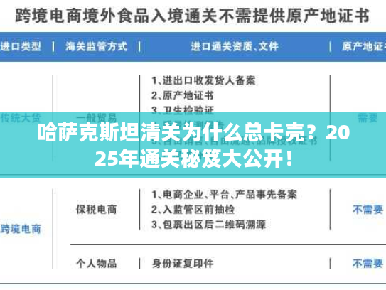 哈萨克斯坦清关为什么总卡壳？2025年通关秘笈大公开！