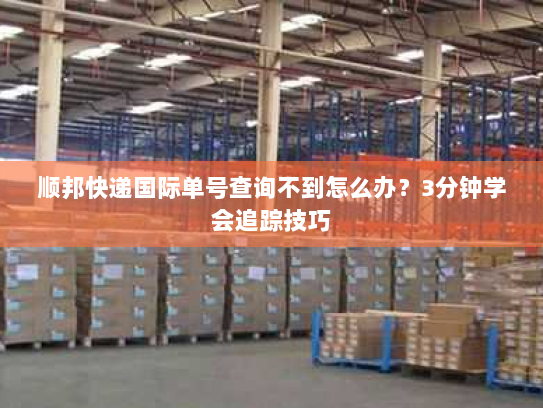 顺邦快递国际单号查询不到怎么办?3分钟学会追踪技巧 顺邦快递国际单号查询不到怎么办?3分钟学会追踪技巧