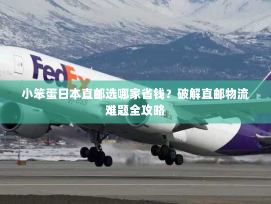 小笨蛋日本直邮选哪家省钱?破解直邮物流难题全攻略 小笨蛋日本直邮选哪家省钱?破解直邮物流难题全攻略