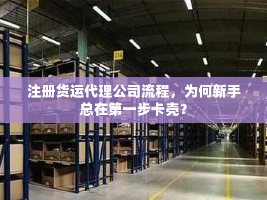注册货运代理公司流程，为何新手总在第一步卡壳？