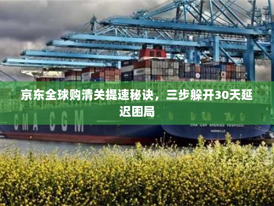京东全球购清关提速秘诀，三步躲开30天延迟困局