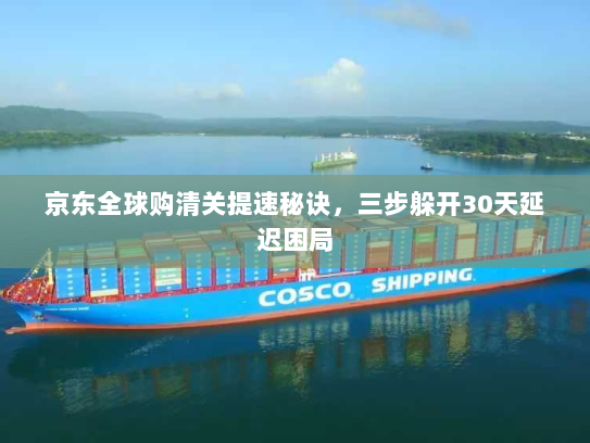 京东全球购清关提速秘诀，三步躲开30天延迟困局