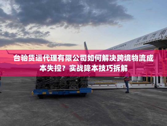 台骀货运代理有限公司如何解决跨境物流成本失控?实战降本技巧拆解 台骀货运代理有限公司如何解决跨境物流成本失控?实战降本技巧拆解