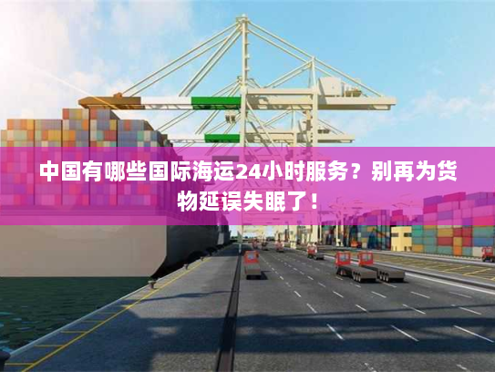 中国有哪些国际海运24小时服务？别再为货物延误失眠了！