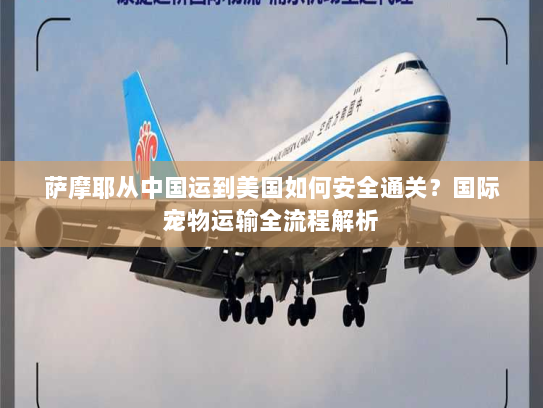 萨摩耶从中国运到美国如何安全通关？国际宠物运输全流程解析