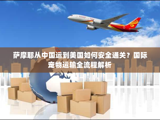 萨摩耶从中国运到美国如何安全通关？国际宠物运输全流程解析