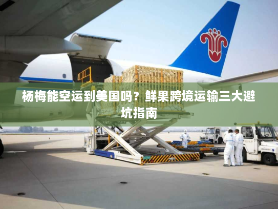 杨梅能空运到美国吗？鲜果跨境运输三大避坑指南