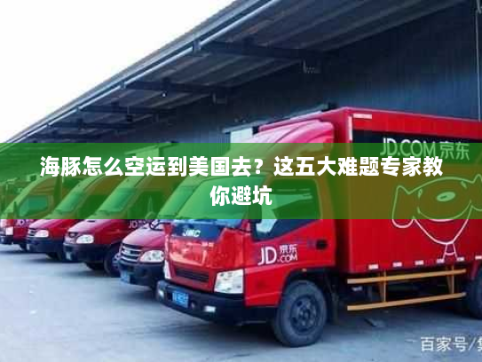 海豚怎么空运到美国去?这五大难题专家教你避坑 海豚怎么空运到美国去?这五大难题专家教你避坑