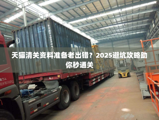 天猫清关资料准备老出错？2025避坑攻略助你秒通关