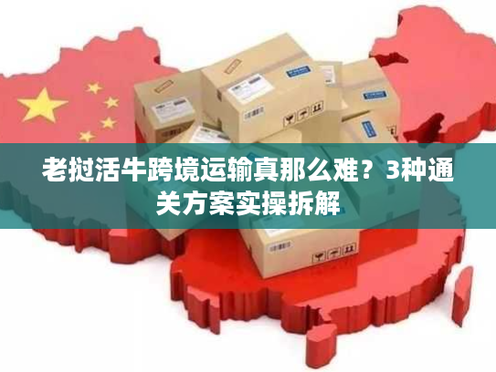 老挝活牛跨境运输真那么难?3种通关方案实操拆解 老挝活牛跨境运输真那么难?3种通关方案实操拆解