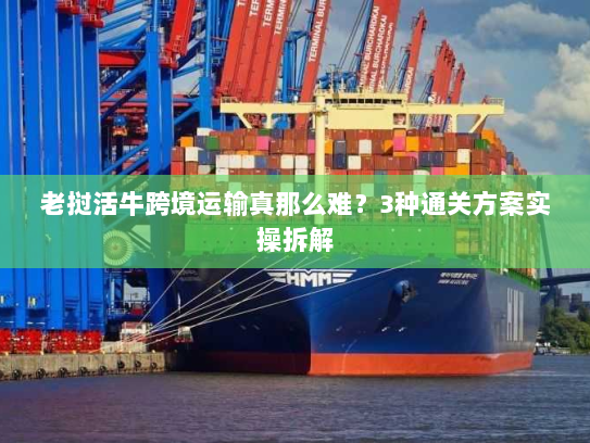 老挝活牛跨境运输真那么难？3种通关方案实操拆解