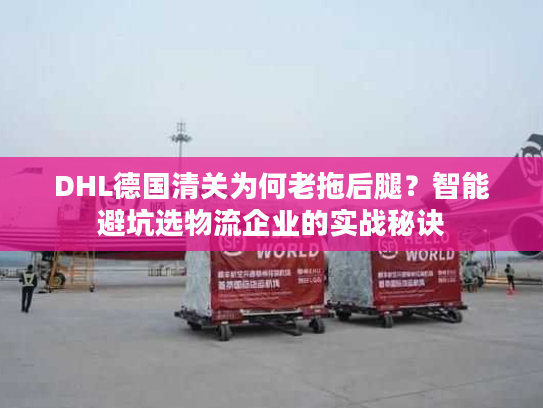 DHL德国清关为何老拖后腿?智能避坑选物流企业的实战秘诀 DHL德国清关为何老拖后腿?智能避坑选物流企业的实战秘诀
