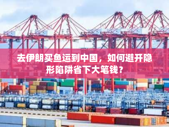 去伊朗买鱼运到中国，如何避开隐形陷阱省下大笔钱？
