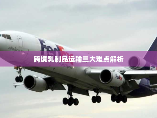 跨境乳制品运输三大难点解析 跨境乳制品运输三大难点解析
