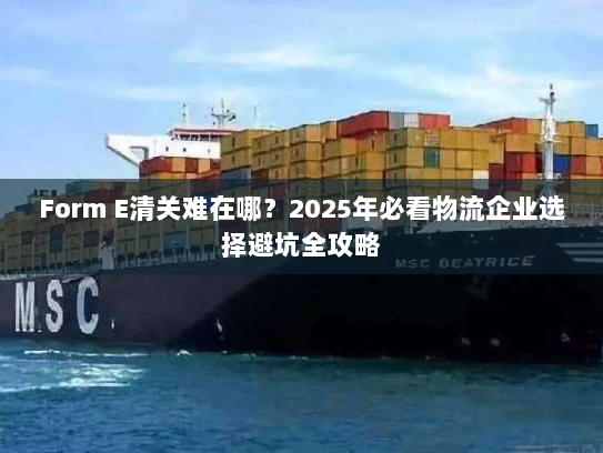 Form E清关难在哪?2025年必看物流企业选择避坑全攻略 Form E清关难在哪?2025年必看物流企业选择避坑全攻略