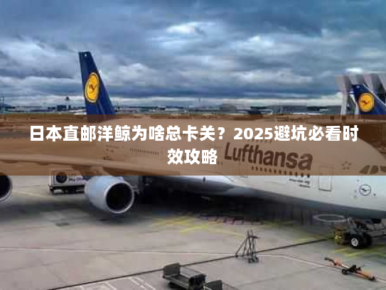 日本直邮洋鲸为啥总卡关?2025避坑必看时效攻略 日本直邮洋鲸为啥总卡关?2025避坑必看时效攻略