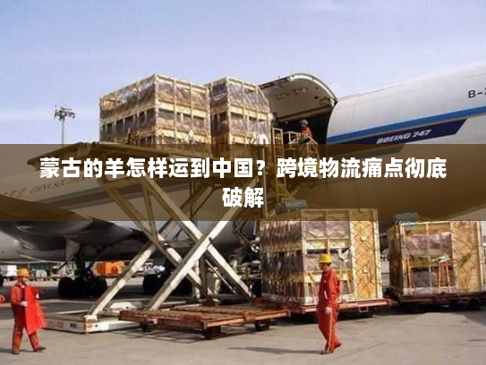 蒙古的羊怎样运到中国?跨境物流痛点彻底破解 蒙古的羊怎样运到中国?跨境物流痛点彻底破解