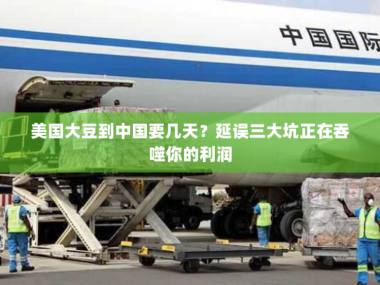 美国大豆到中国要几天?延误三大坑正在吞噬你的利润 美国大豆到中国要几天?延误三大坑正在吞噬你的利润