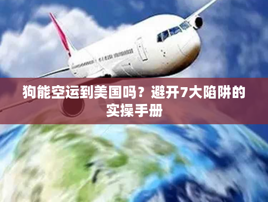 狗能空运到美国吗？避开7大陷阱的实操手册