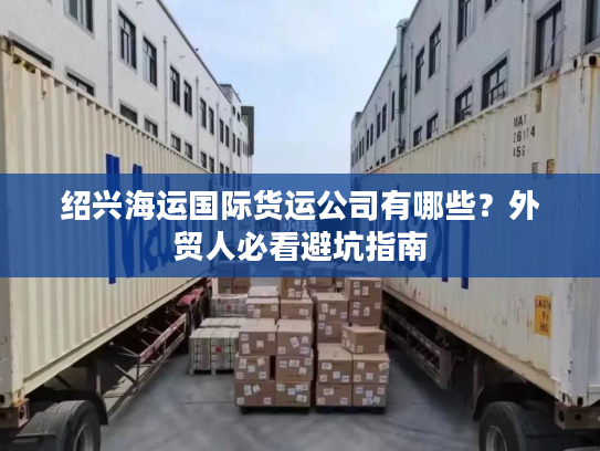 绍兴海运国际货运公司有哪些?外贸人必看避坑指南 绍兴海运国际货运公司有哪些?外贸人必看避坑指南