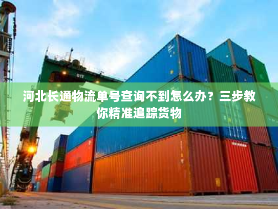 河北长通物流单号查询不到怎么办？三步教你精准追踪货物