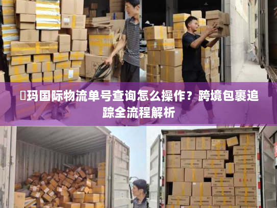 玥玛国际物流单号查询怎么操作？跨境包裹追踪全流程解析