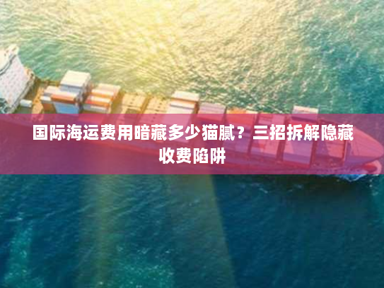 国际海运费用暗藏多少猫腻？三招拆解隐藏收费陷阱