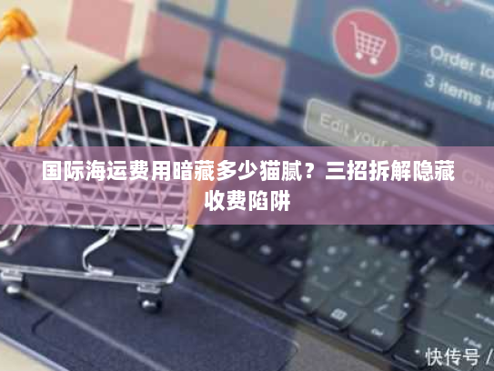 国际海运费用暗藏多少猫腻？三招拆解隐藏收费陷阱