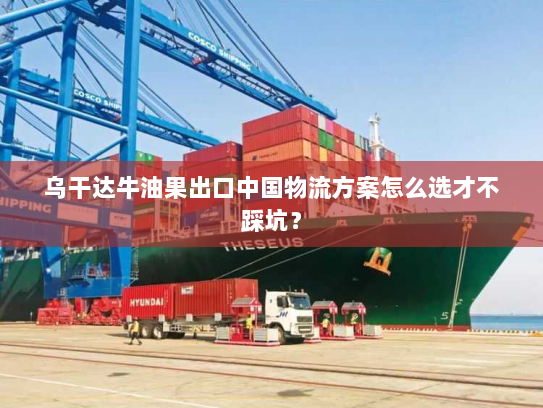 乌干达牛油果出口中国物流方案怎么选才不踩坑? 乌干达牛油果出口中国物流方案怎么选才不踩坑?