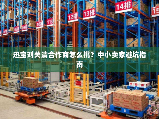 迅宝刘关清合作商怎么挑?中小卖家避坑指南 迅宝刘关清合作商怎么挑?中小卖家避坑指南