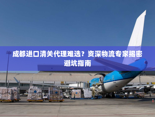 成都进口清关代理难选？资深物流专家揭密避坑指南