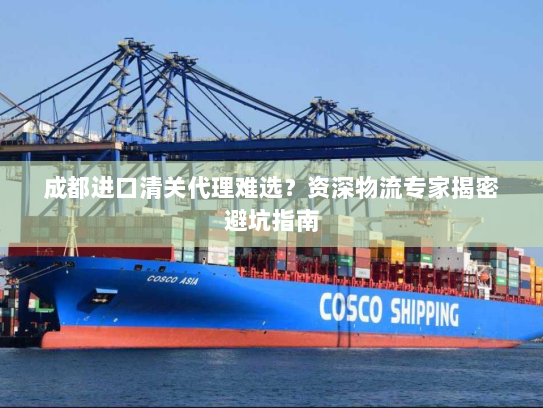 成都进口清关代理难选?资深物流专家揭密避坑指南 成都进口清关代理难选?资深物流专家揭密避坑指南