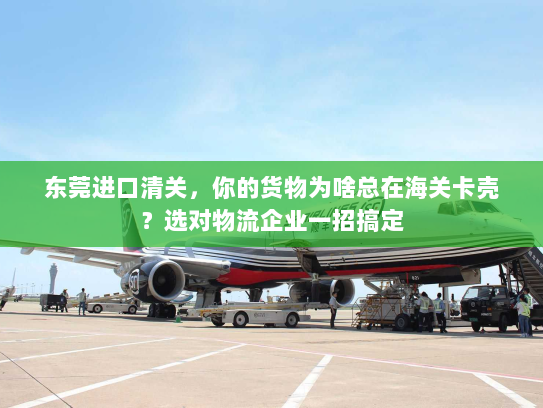 东莞进口清关,你的货物为啥总在海关卡壳?选对物流企业一招搞定 东莞进口清关,你的货物为啥总在海关卡壳?选对物流企业一招搞定