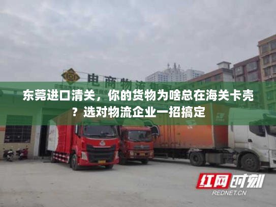 东莞进口清关,你的货物为啥总在海关卡壳?选对物流企业一招搞定 东莞进口清关,你的货物为啥总在海关卡壳?选对物流企业一招搞定