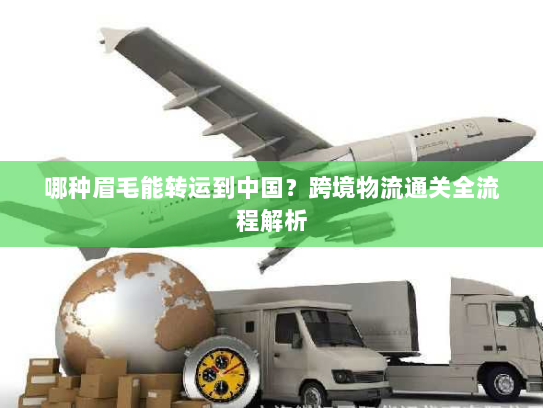 哪种眉毛能转运到中国？跨境物流通关全流程解析