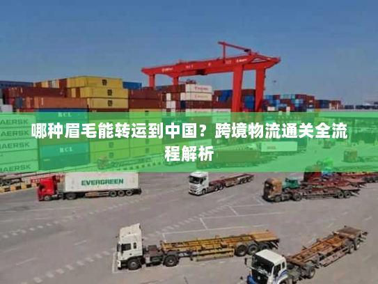 哪种眉毛能转运到中国？跨境物流通关全流程解析