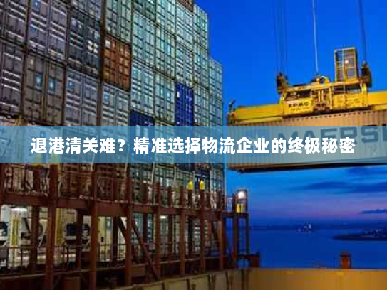 退港清关难?精准选择物流企业的终极秘密 退港清关难?精准选择物流企业的终极秘密
