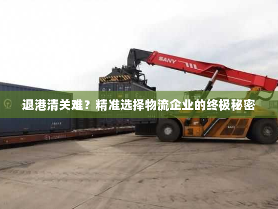 退港清关难?精准选择物流企业的终极秘密 退港清关难?精准选择物流企业的终极秘密