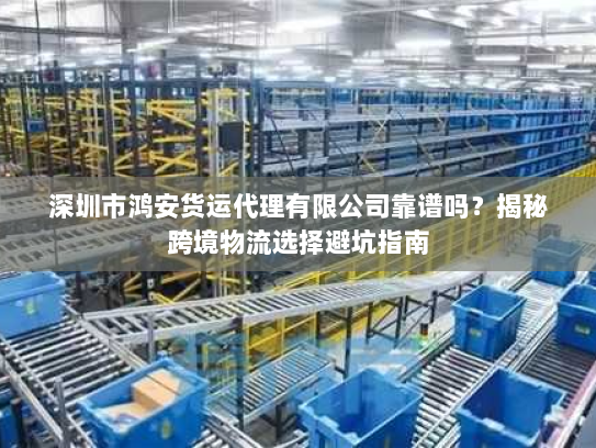 深圳市鸿安货运代理有限公司靠谱吗?揭秘跨境物流选择避坑指南 深圳市鸿安货运代理有限公司靠谱吗?揭秘跨境物流选择避坑指南