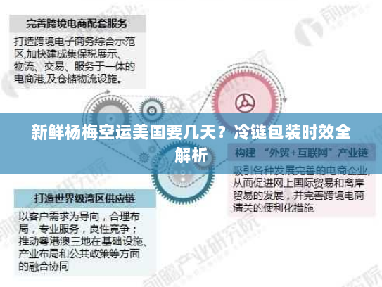 新鲜杨梅空运美国要几天？冷链包装时效全解析