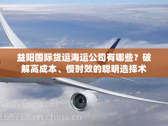 益阳国际货运海运公司有哪些？破解高成本、慢时效的聪明选择术