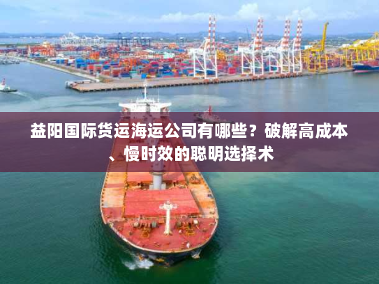 益阳国际货运海运公司有哪些？破解高成本、慢时效的聪明选择术