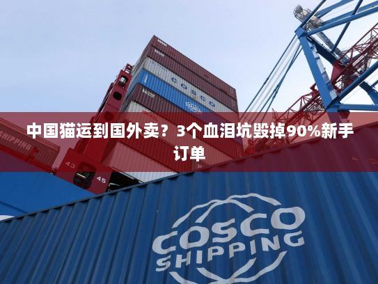 中国猫运到国外卖？3个血泪坑毁掉90%新手订单