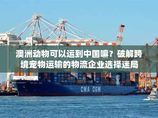 澳洲动物可以运到中国嘛?破解跨境宠物运输的物流企业选择迷局 澳洲动物可以运到中国嘛?破解跨境宠物运输的物流企业选择迷局