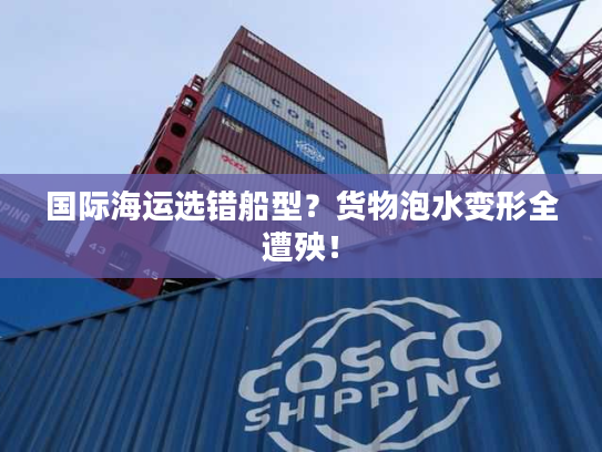 国际海运选错船型？货物泡水变形全遭殃！