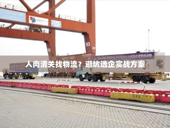人肉清关找物流？避坑选企实战方案