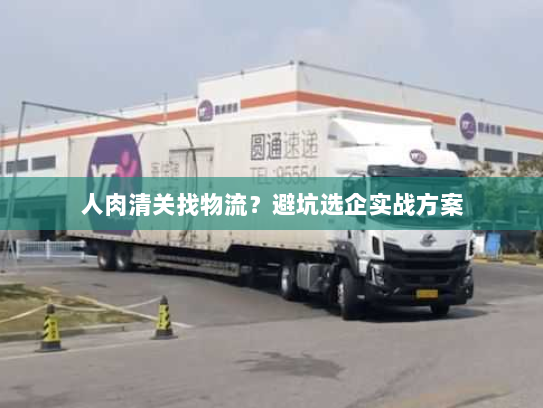 人肉清关找物流？避坑选企实战方案